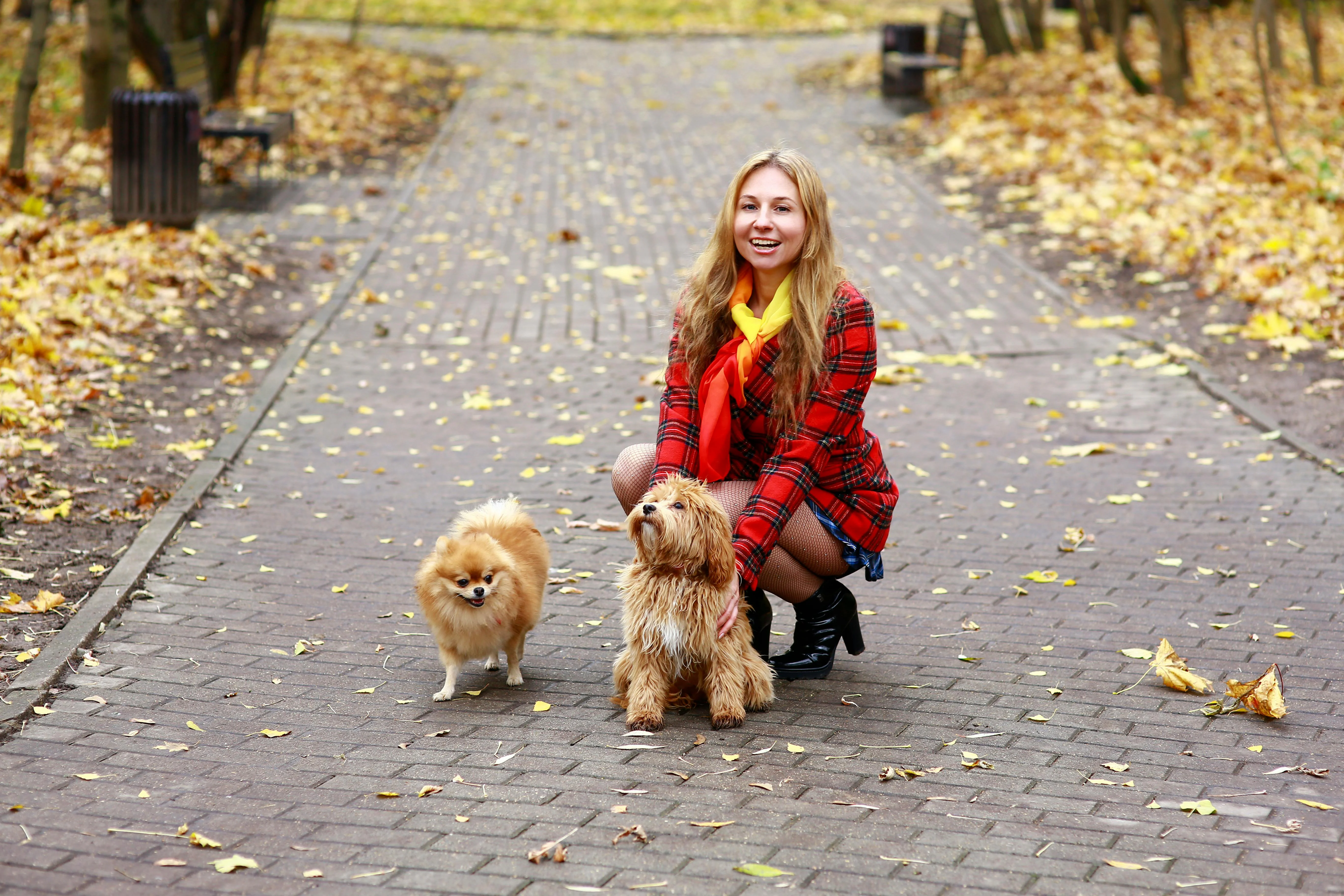 Everything Your Pet Needs, Delivered with Care