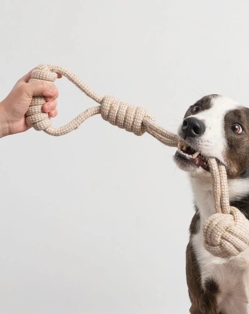 Interactive Rope Toy
